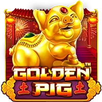 GOLDEN PIG